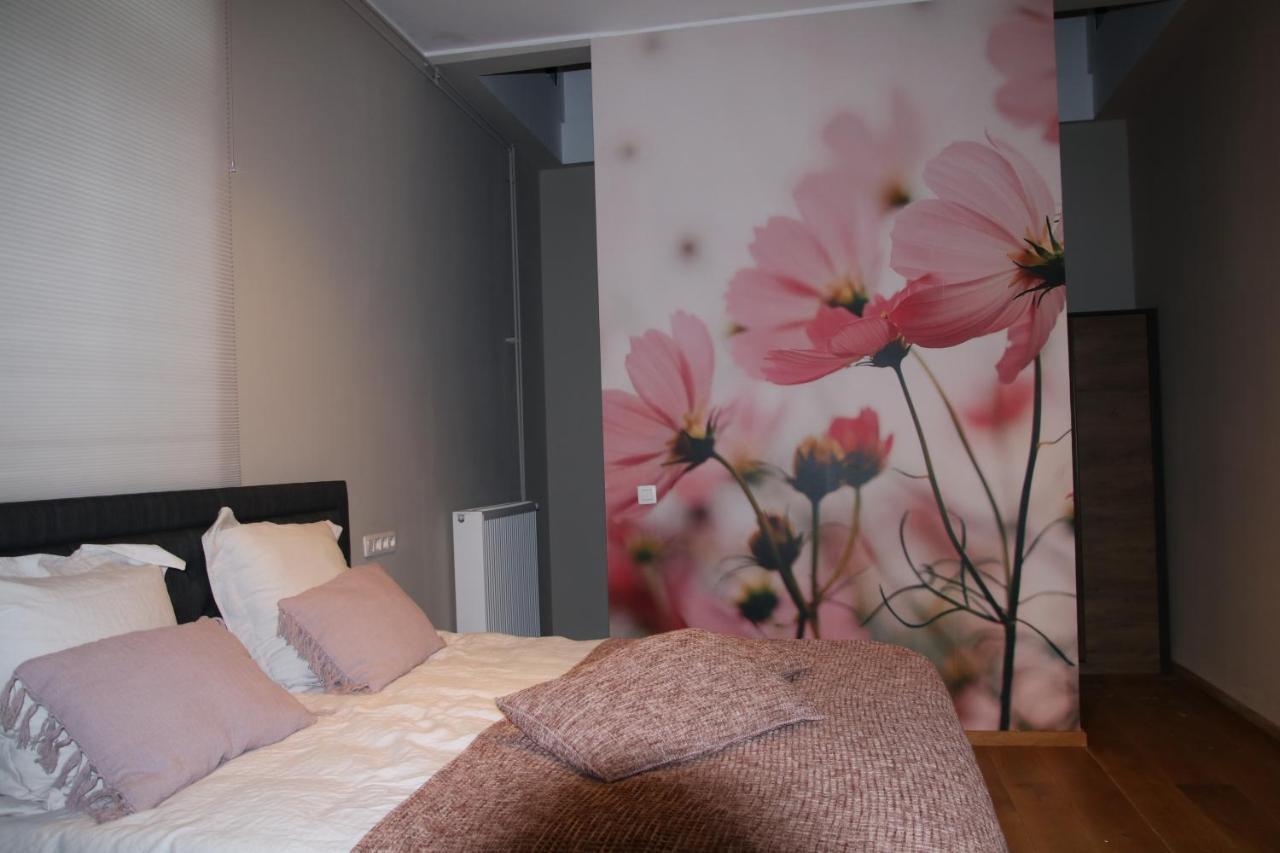 B&B Het Doctershoes Kinrooi Exterior photo